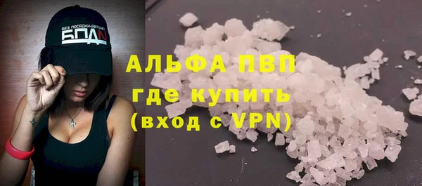 альфа пвп Новодвинск