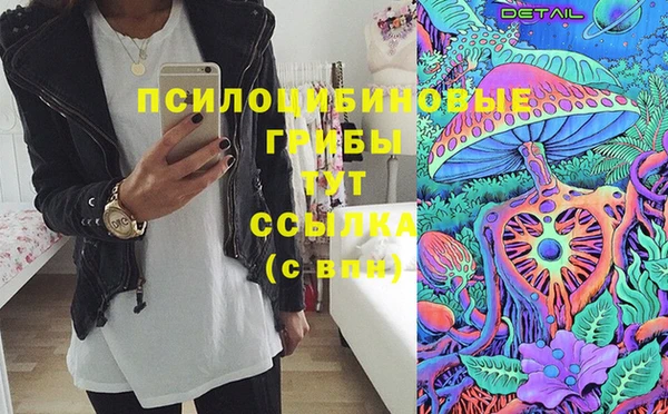 мяу мяу мука Новозыбков