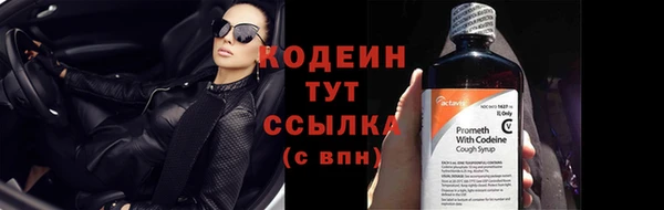 альфа пвп Новодвинск