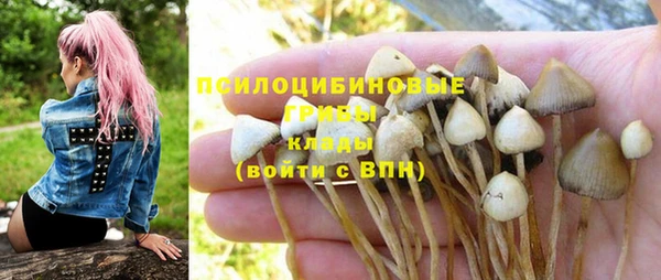 альфа пвп Новодвинск