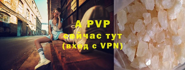 альфа пвп Новодвинск